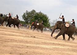 Gajah Balap